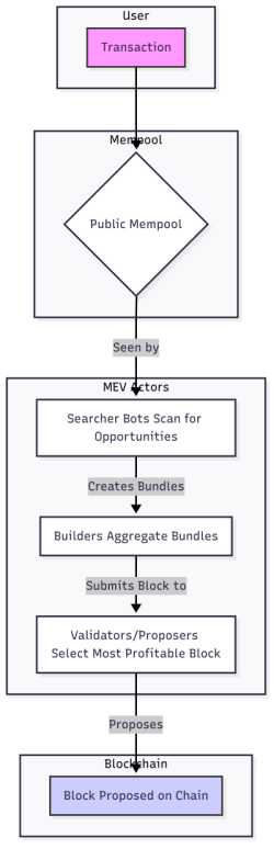 MEV Extraction Process